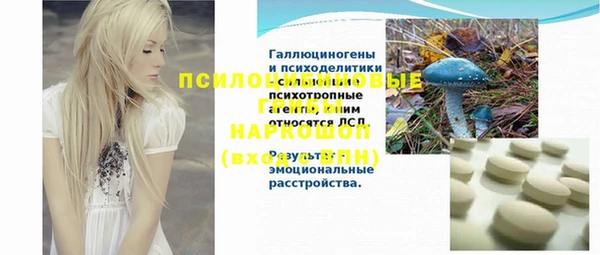 spice Беломорск