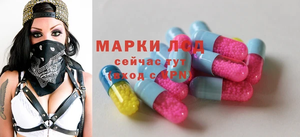 шишки Белоозёрский