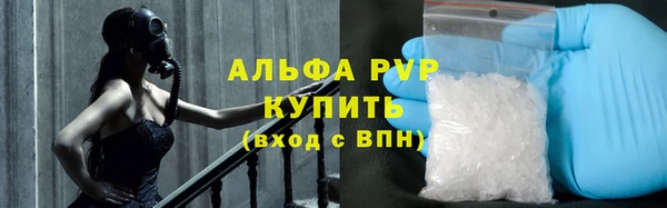 spice Беломорск