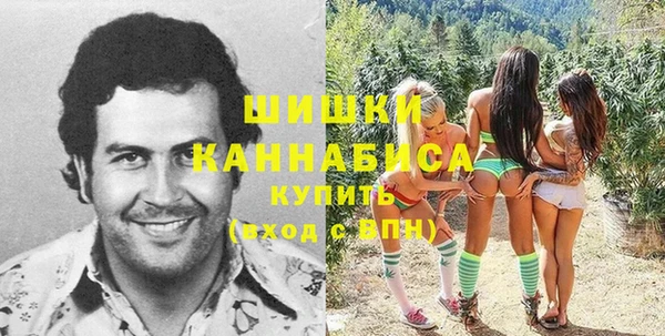 шишки Белоозёрский