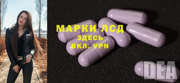 шишки Белоозёрский