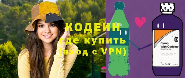 шишки Белоозёрский